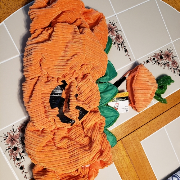 DOG COSTUME PUMPKIN - Picture 4 of 12